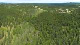 231.68 Acres White Forest Rd - Photo 31