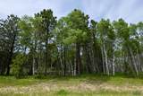 231.68 Acres White Forest Rd - Photo 5