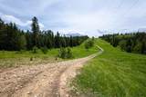 231.68 Acres White Forest Rd - Photo 6