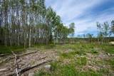 231.68 Acres White Forest Rd - Photo 7