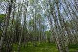 231.68 Acres White Forest Rd - Photo 9