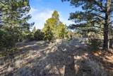 Lot 1 Sunset Ridge Rd - Photo 18