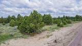 Lot 8 Sunset Ridge Rd - Photo 9