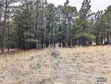 TBD Lot 6 Argyle Rd - Photo 6