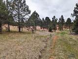 TBD Lot 5 Argyle Rd - Photo 6