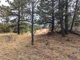 Lot 3 Argyle Rd - Photo 1