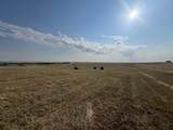 TBD Hwy 14 And Hwy 16 - Photo 12