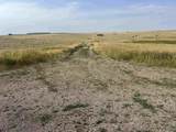 TBD Hwy 14 And Hwy 16 - Photo 15