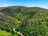 80.1 +/- Acres Crook Mountain Rd - Photo 20