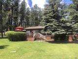12776 Black Forest Rd - Photo 1