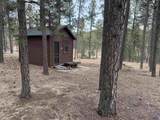12776 Black Forest Rd - Photo 29