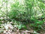 Lot 1 Block 2 Aspen Way - Photo 22