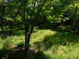 Lot 1 Block 2 Aspen Way - Photo 30