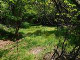Lot 1 Block 2 Aspen Way - Photo 31