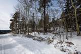 21179 Turkey Trail - Photo 6
