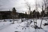 21163 Turkey Trail - Photo 8