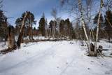 21163 Turkey Trail - Photo 9