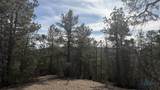 Lot 4R Doran Rd - Photo 12