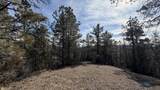 Lot 4R Doran Rd - Photo 13