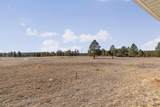 11981 Mountain Lion Ln - Photo 26