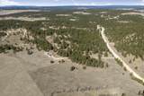11981 Mountain Lion Ln - Photo 29