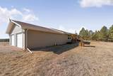 11981 Mountain Lion Ln - Photo 3