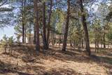 11981 Mountain Lion Ln - Photo 30