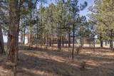 11981 Mountain Lion Ln - Photo 31