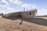 11981 Mountain Lion Ln - Photo 4