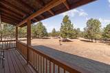11981 Mountain Lion Ln - Photo 5
