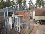 10379 Turkey Trail - Photo 25