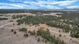 10379 Turkey Trail - Photo 26