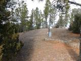10379 Turkey Trail - Photo 27