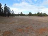 10379 Turkey Trail - Photo 30