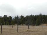 10379 Turkey Trail - Photo 31