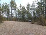 10379 Turkey Trail - Photo 32