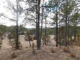 10379 Turkey Trail - Photo 33