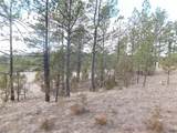 10379 Turkey Trail - Photo 35