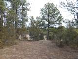 10379 Turkey Trail - Photo 36