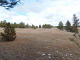 10379 Turkey Trail - Photo 38
