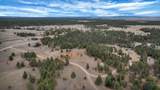 10379 Turkey Trail - Photo 9