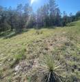 lot GC-57 Sandpiper Dr - Photo 3