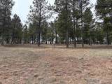 TBD Gunsmoke Ln - Photo 12