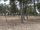 TBD Gunsmoke Ln - Photo 14