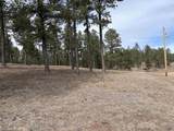 TBD Gunsmoke Ln - Photo 16