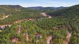 22930 Forest - Photo 39