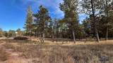 Lot 9 Argyle Rd - Photo 1