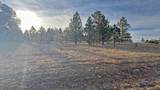 Lot 2 Westwind Dr - Photo 3