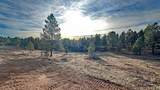 Lot 3 Westwind Dr - Photo 1