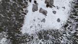 Lot 191 Deer Mountain - Photo 8